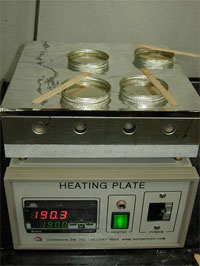 Heating Plate 사진